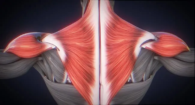Shoulder Exercises Video on 3 Moves to Improve Strength and Posture