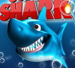 Jumpy Shark